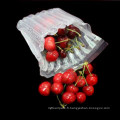 Durable gonflable Air Dunnage Bag pour fruits